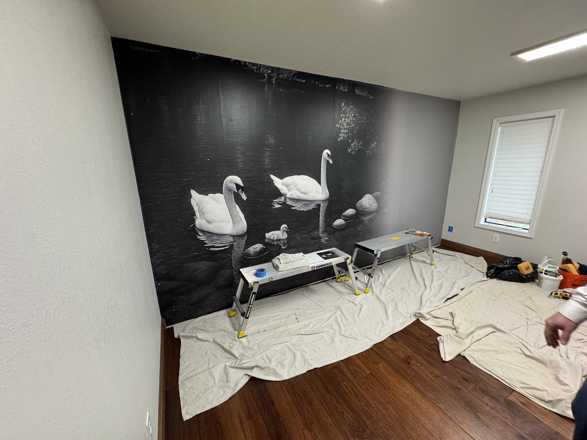 Swan wallpaper mural partially installed on the feature wall
