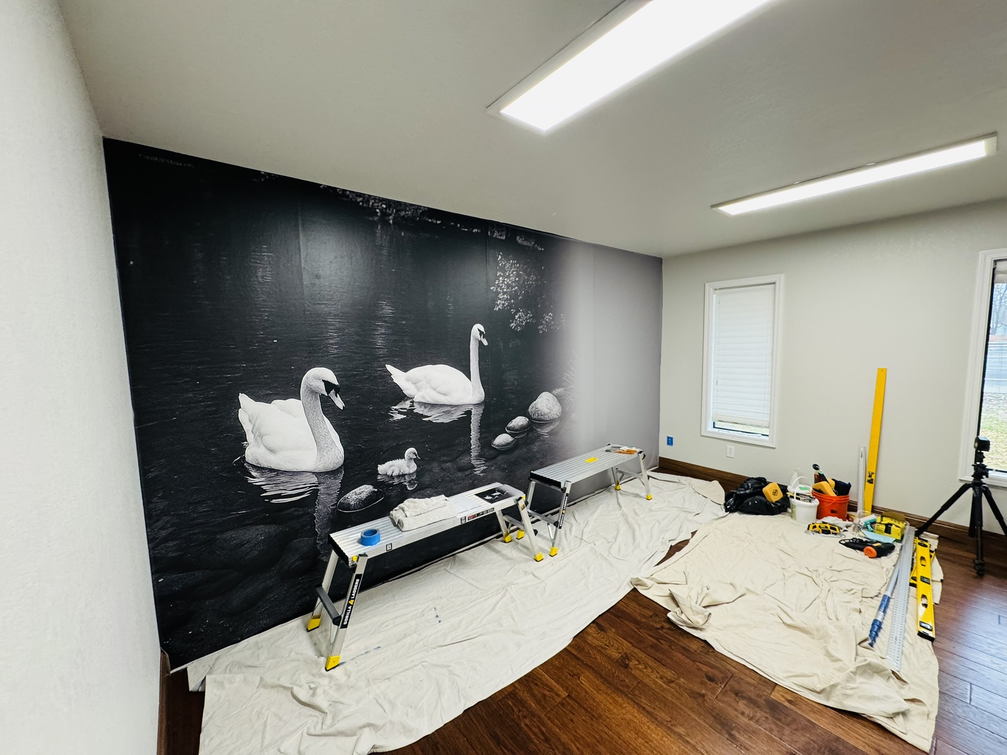 Black-and-white swan mural installed across a full feature wall
