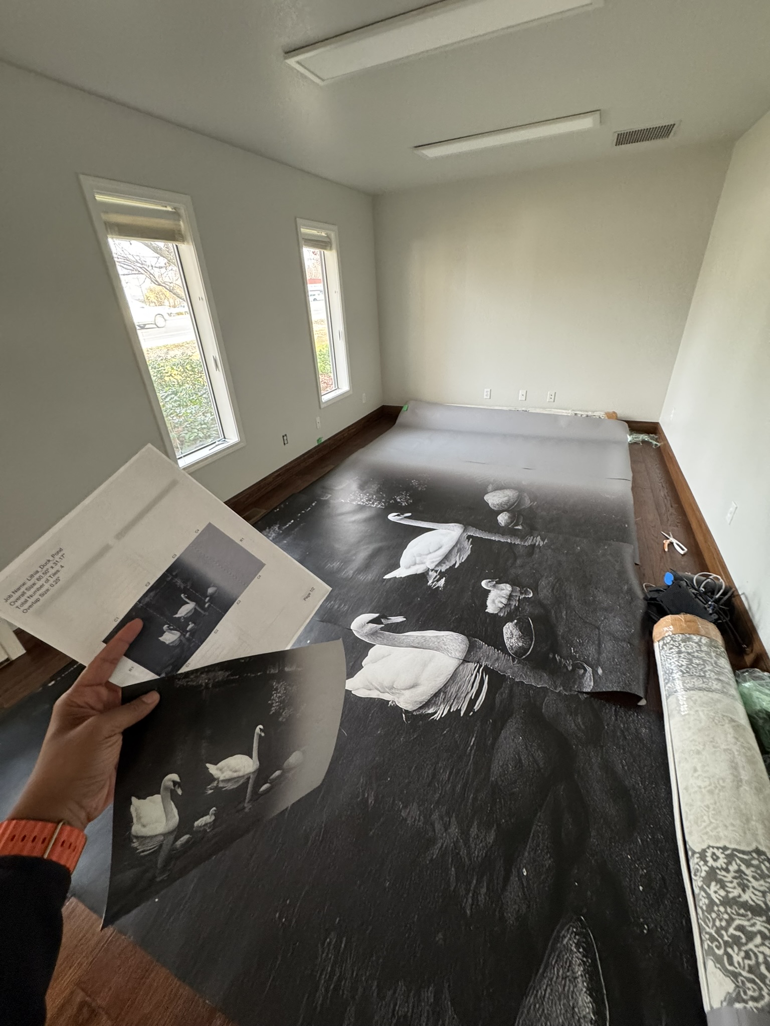 Swan mural panels aligned in sequence before hanging