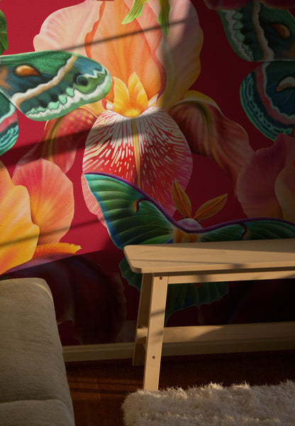 Butterfly Bloom Bliss