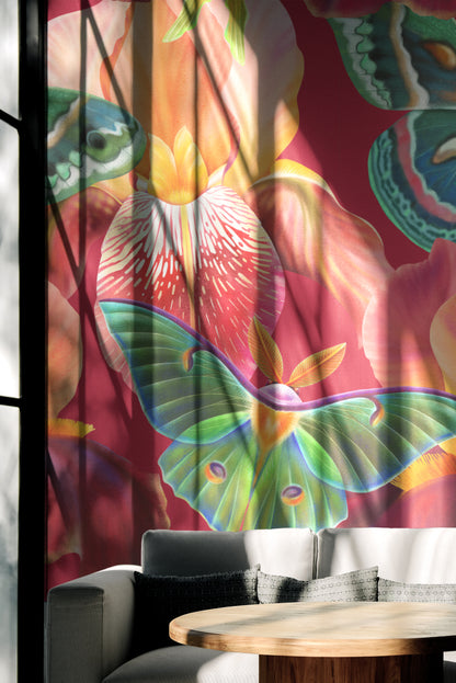 Butterfly Bloom Bliss