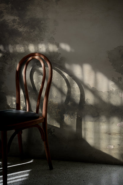 Moody Forest Reverie