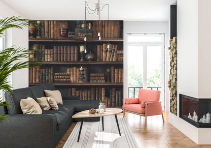 Vintage Library Serenity