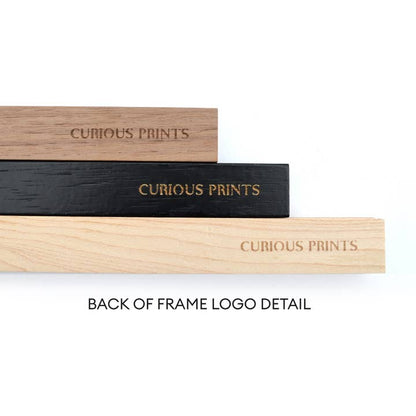 Vintage Audubon Flamingo Bird Print w/ Optional Frame