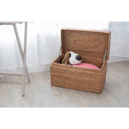 Artifacts Rattan™ Rectangular Hinged Chest