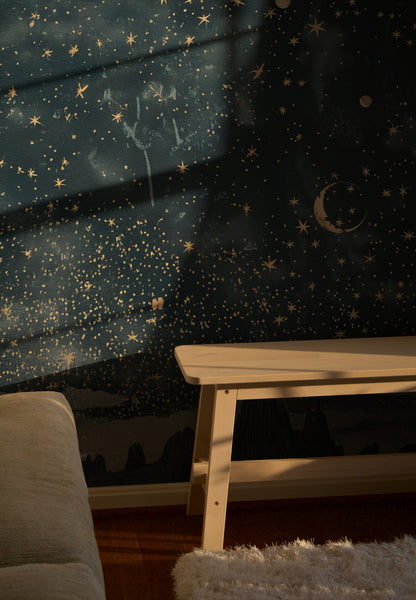 Midnight Starry Reverie