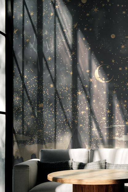 Midnight Starry Reverie