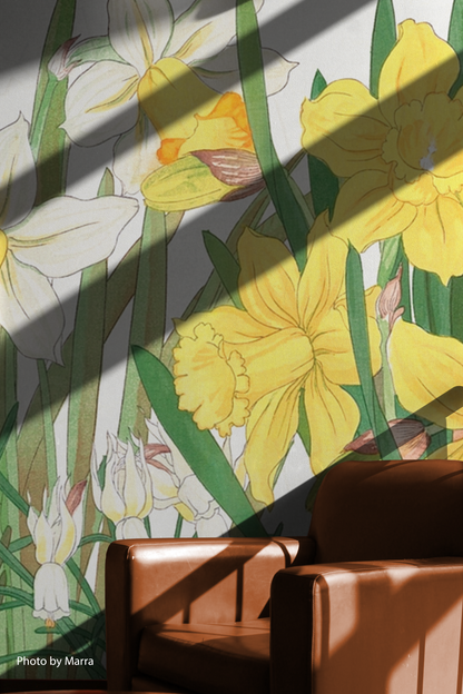 Sunlit Daffodil Dream