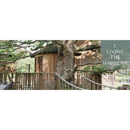 Tree Houses Reimagined