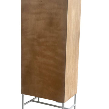 Alina 2 Doors Glass Tall Accent Cabinet