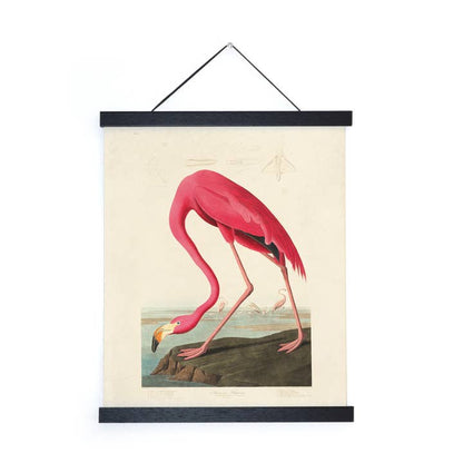 Vintage Audubon Flamingo Bird Print w/ Optional Frame