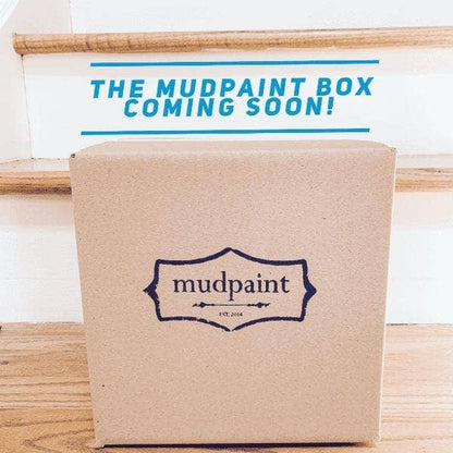 Zibra 2" Palm Pro Trim & Surface Painting Brush