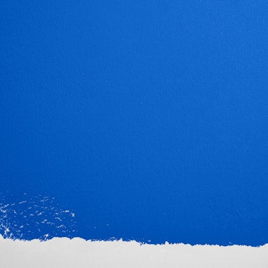 BLUE IS THE COOLEST COLOR