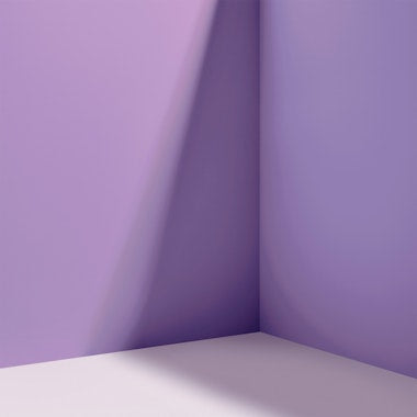 BARBIE™ DREAMHOUSE™ PURPLE