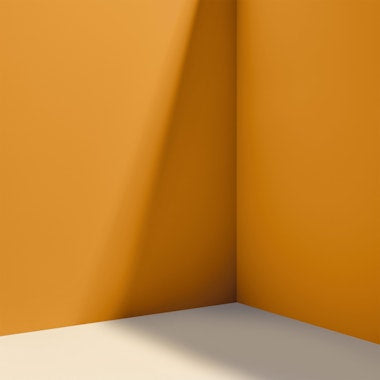 COLOR OF THE YEAR