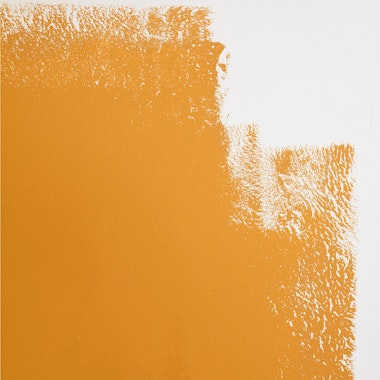 COLOR OF THE YEAR