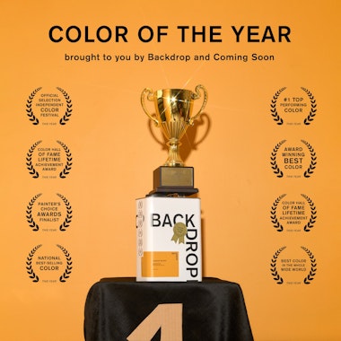 COLOR OF THE YEAR
